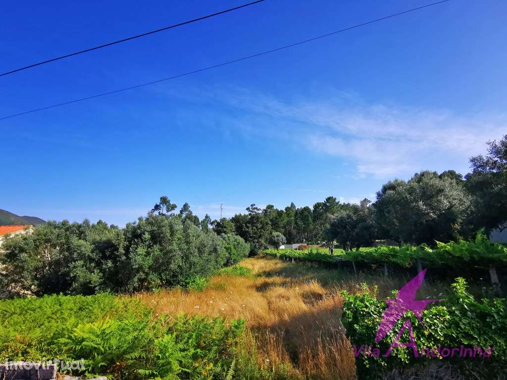 Terreno 2814M2, um refúgio natural a poucos minutos da cidade. - Grande imagem: 3/8