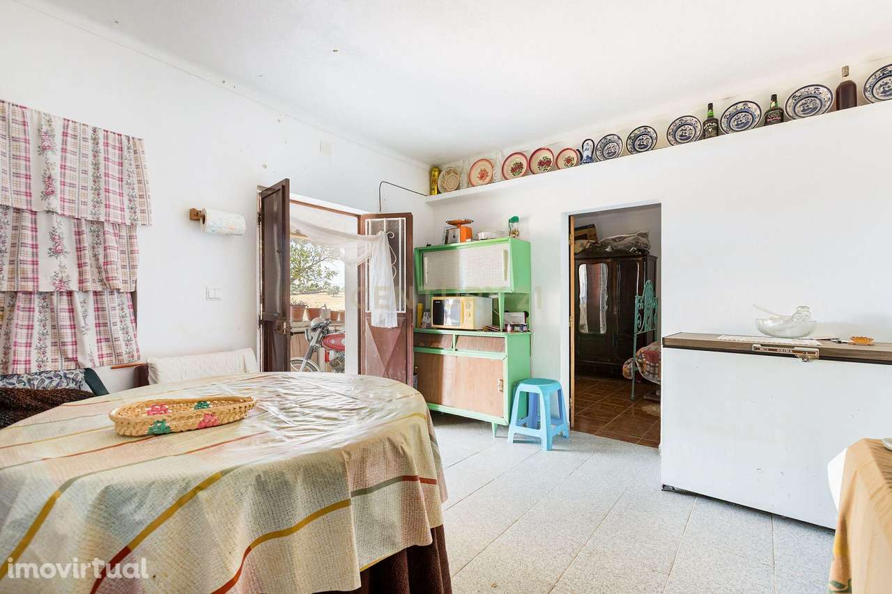 Monte Alentejano com 45 Hectares e Infraestruturas Agrícolas - Grande imagem: 5/28