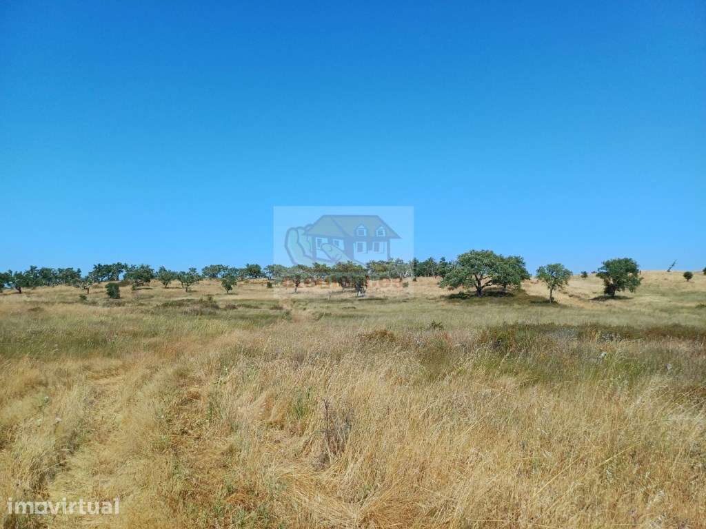 Terreno com 7 hectares - viabilidade para habitação e Turismo - Grande imagem: 2/11