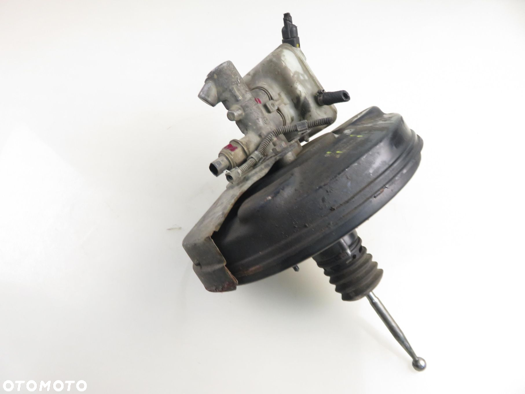 SERWO AUDI A3 (8L1) 1.9 TDI quattro - ASZ 1J1614105S 03786435034 - 4