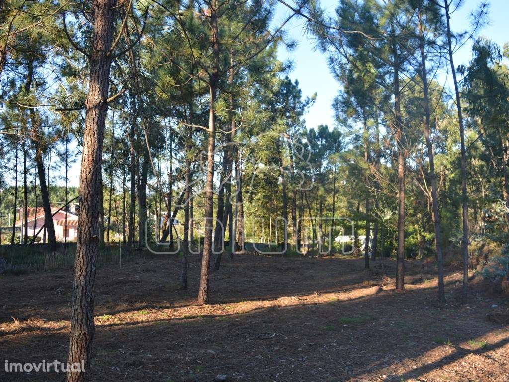 Terreno em São Salvador da Torre - Grande imagem: 2/5