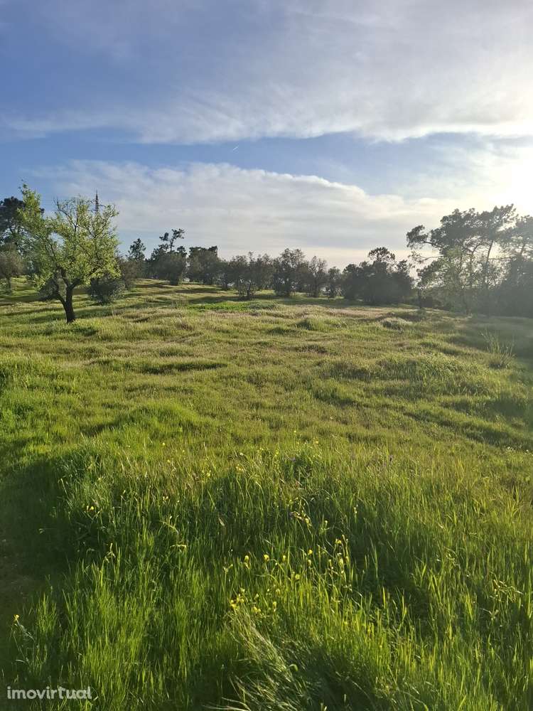 Monte com ruína. Excelente oportunidade - Grande imagem: 2/3