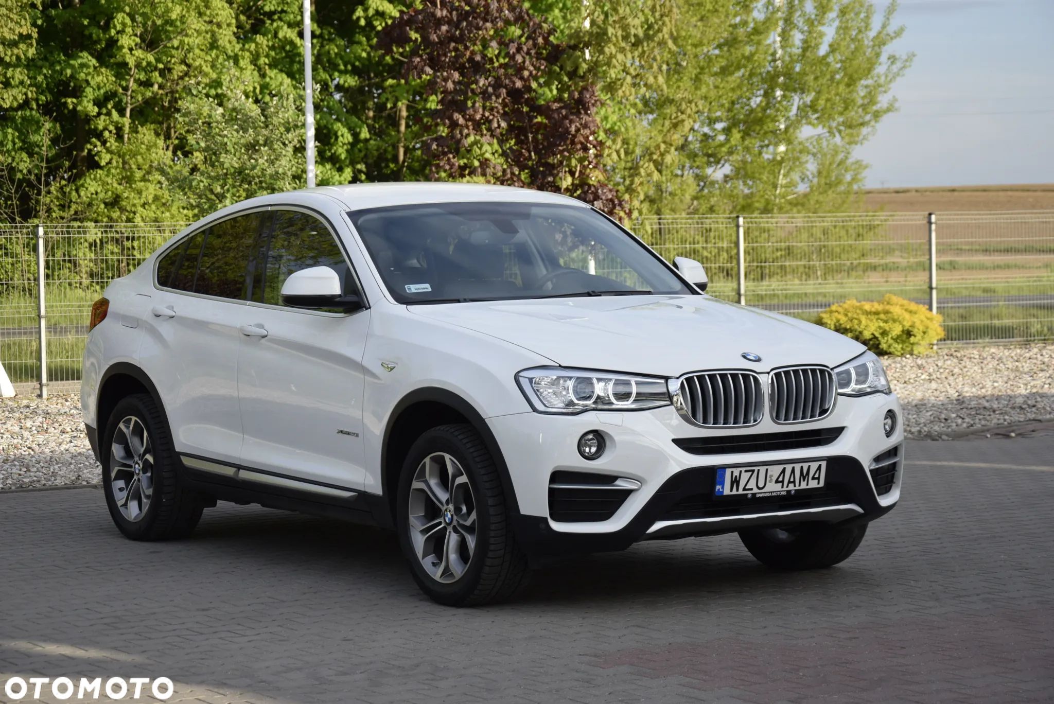BMW X4 xDrive20i xLine - 1