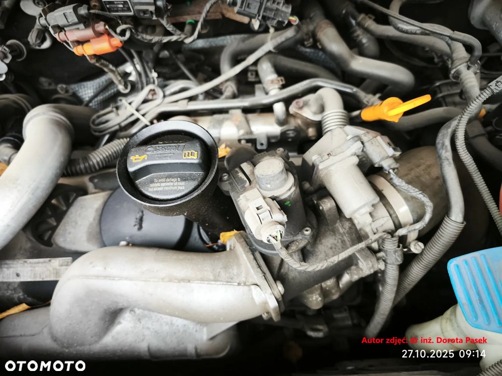 Volkswagen Caravelle L1 Comfortline Goldenline - 11