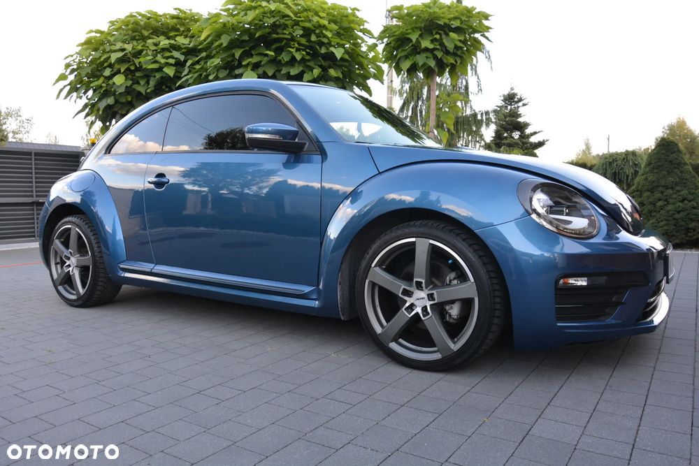 Volkswagen Beetle - 24