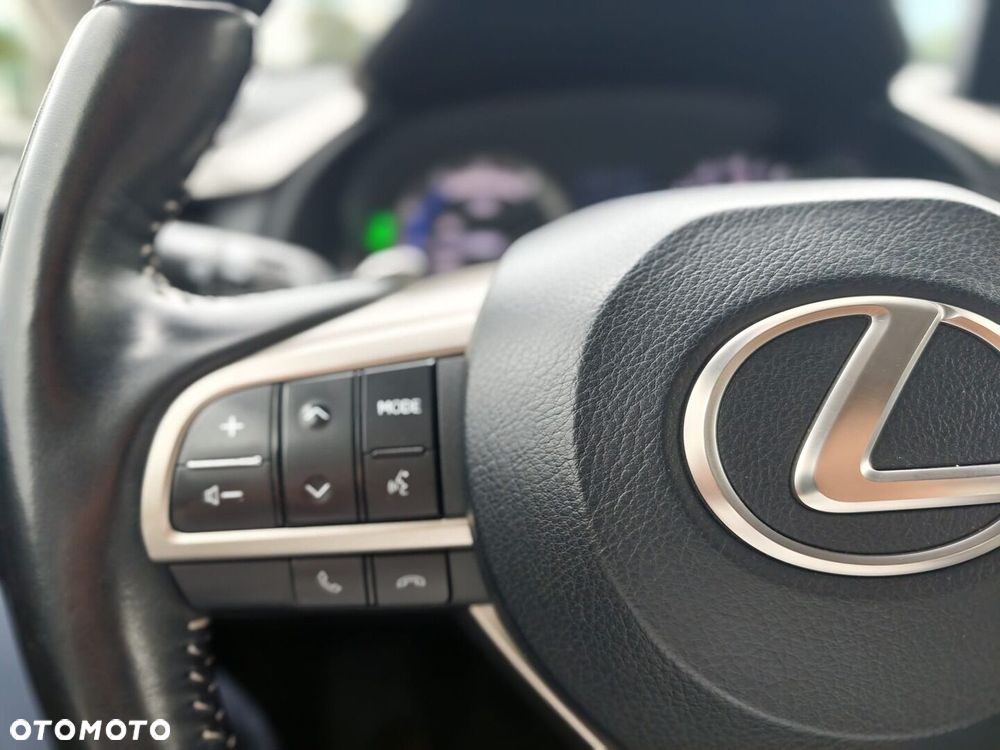 Lexus RX 450h F-Impression - 21