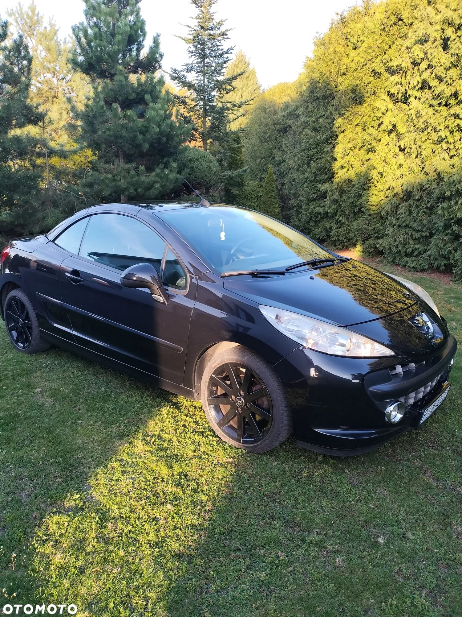 Peugeot 207 CC FAP 110 (Blue Lion) Roland Garros - 1