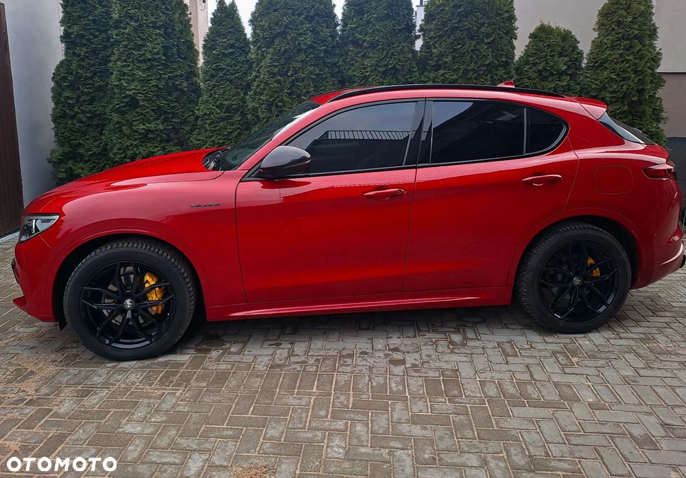 Alfa Romeo Stelvio 2.0 Turbo Veloce Q4 - 1