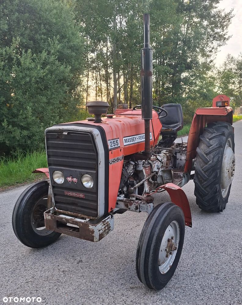 Massey Ferguson FERGUSON 255 - 6