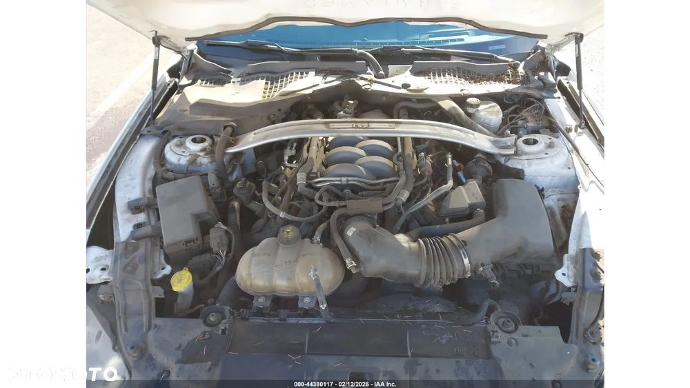Ford Mustang 5.0 V8 Mach 1 - 12