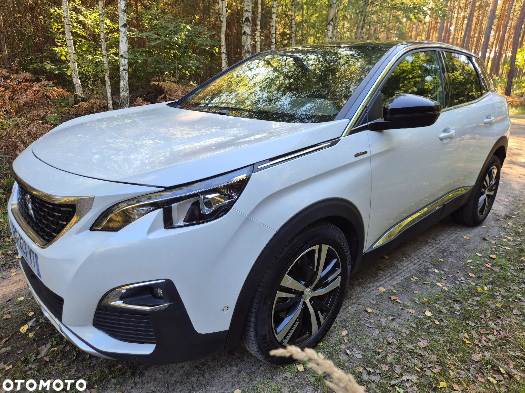 Peugeot 3008 - 1