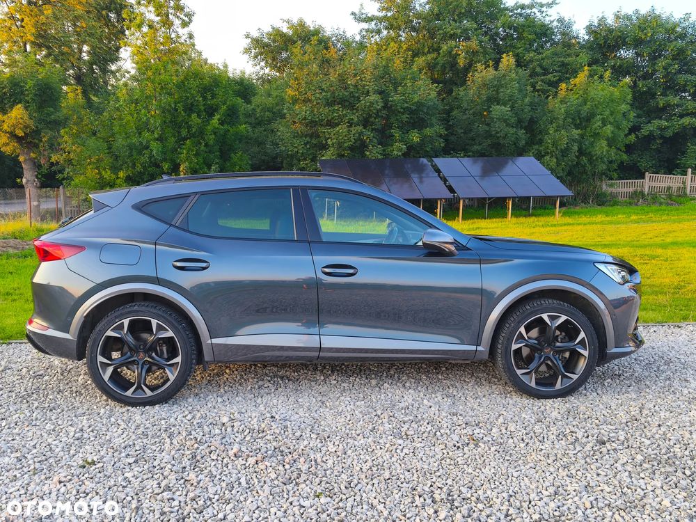 Cupra Formentor 1.5 TSI DSG Tribe Edition - 10