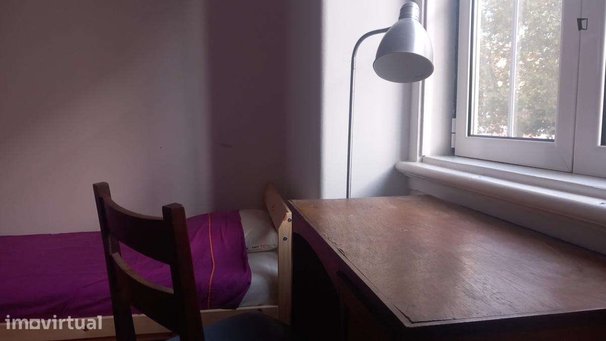Quarto - localizado em Campo de Ourique Lisbon - Grande imagem: 3/10