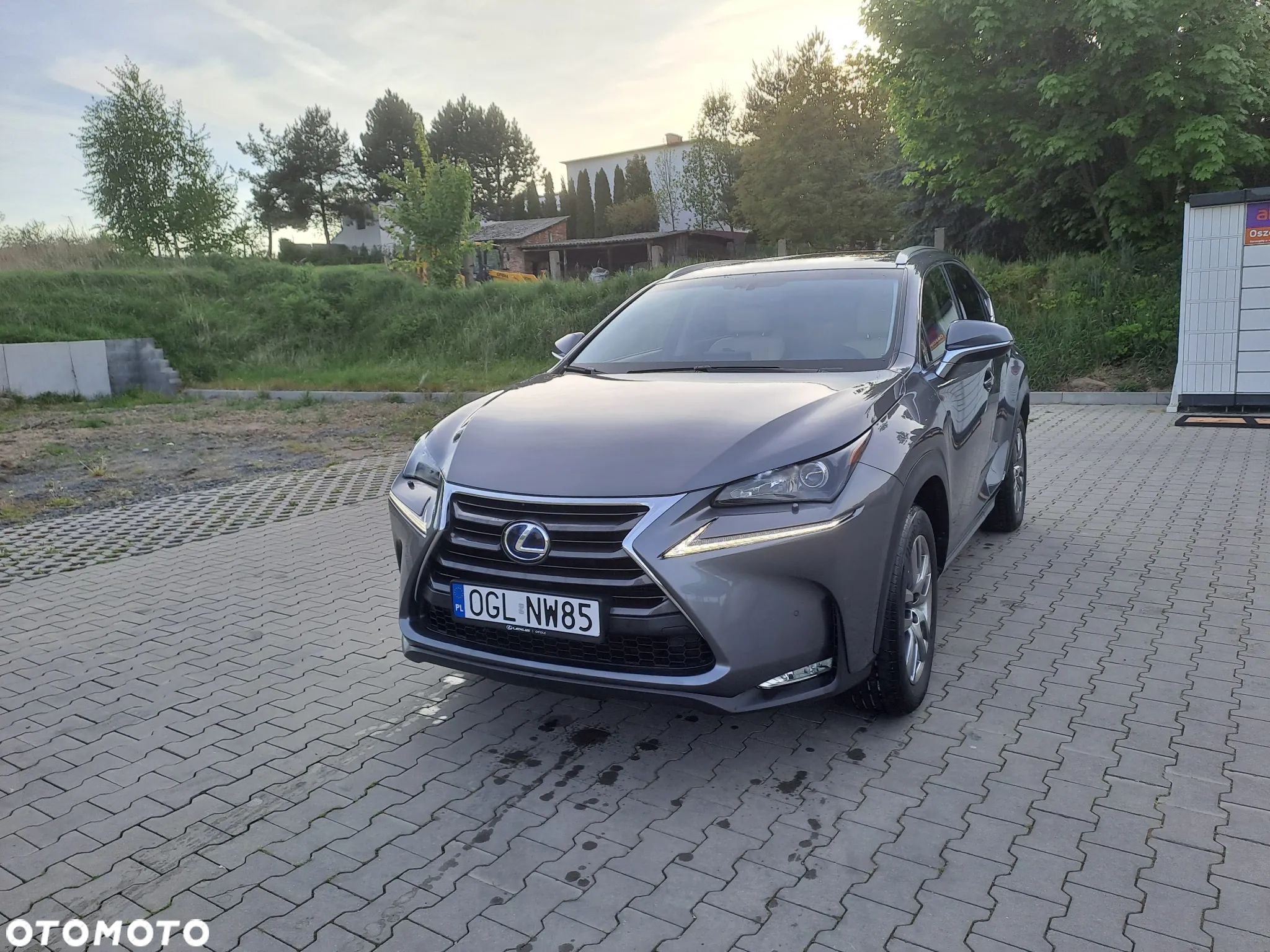 Lexus NX 300h - 1
