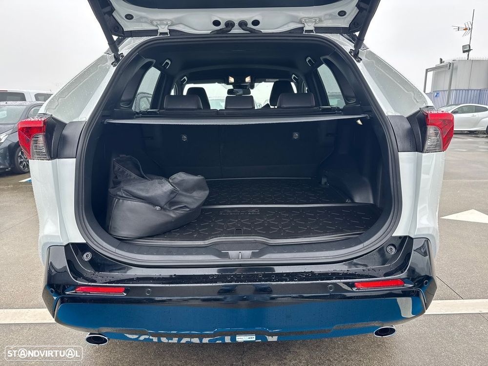 Toyota RAV4 - 9