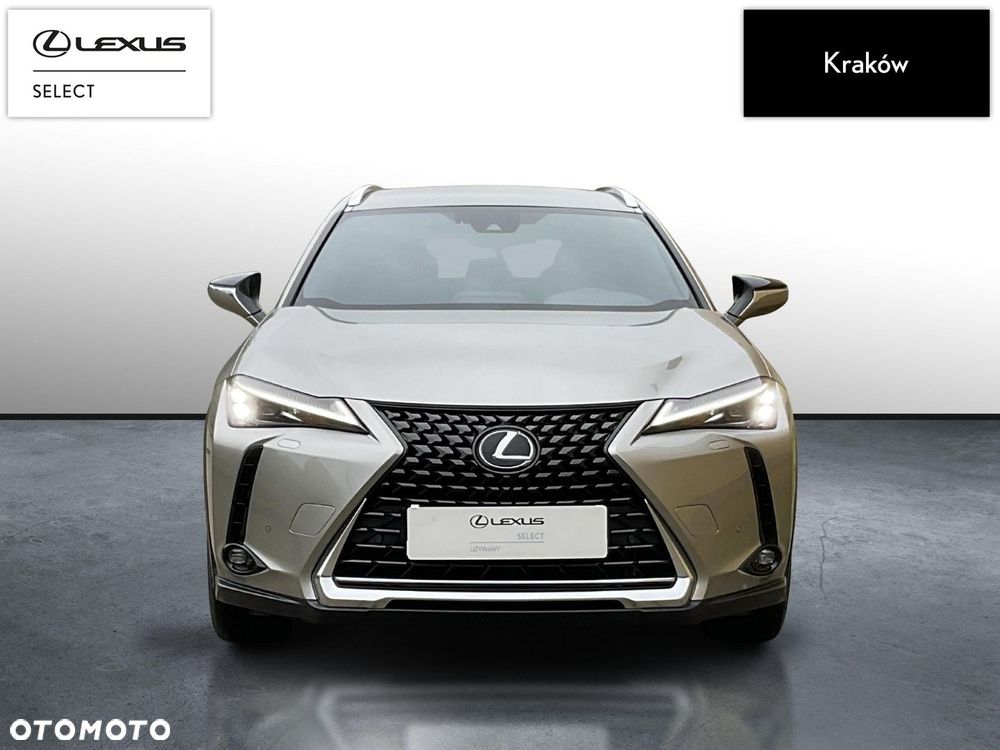 Lexus UX 250h GPF Business 2WD - 8