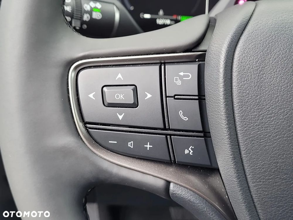 Lexus UX 300h F Sport Design - 25