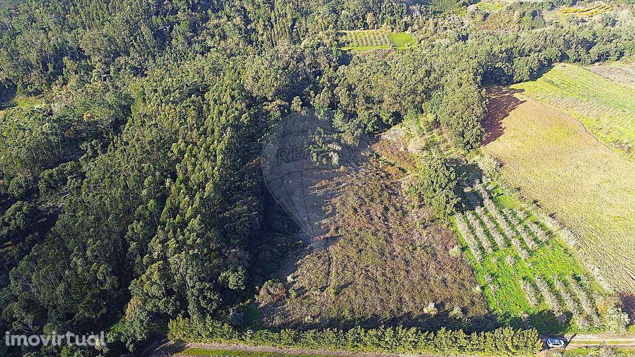 Terreno  para venda - Grande imagem: 5/5