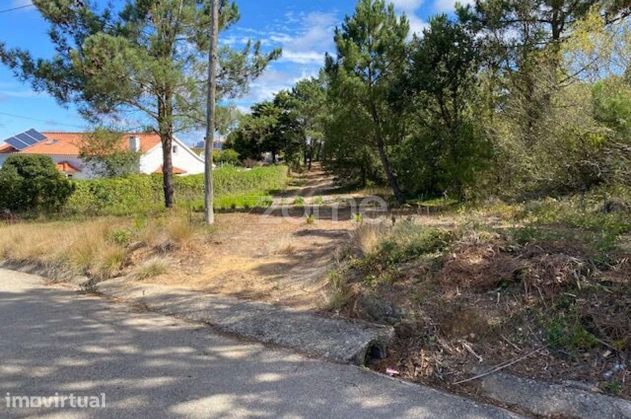 TERRENO URBANIZÁVEL USSEIRA, ÓBIDOS - Grande imagem: 3/15