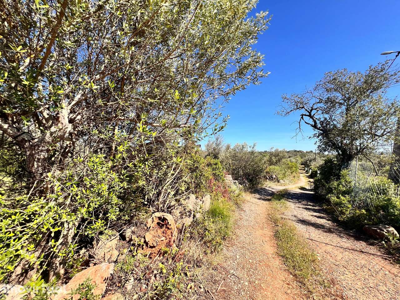 Terreno rústico com 7360m2 I Entre São Bartolomeu de Messines e Padern - Grande imagem: 4/5