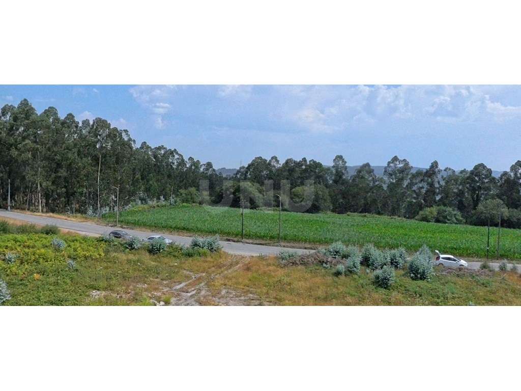 Terreno em zona industrial, com 10 765m² à venda em Covelas, Trofa,... - Grande imagem: 3/4