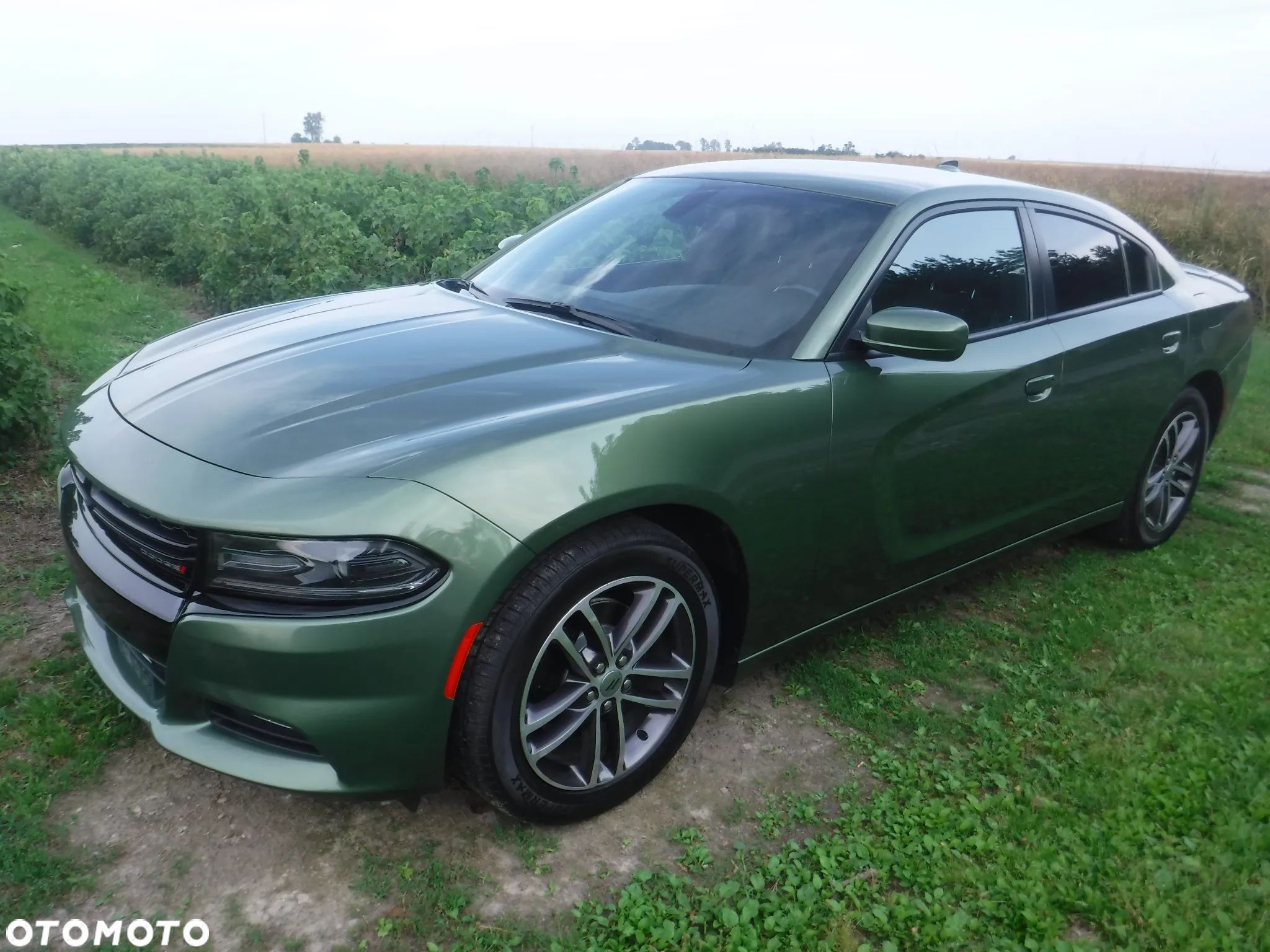 Dodge Charger 3.6 GT - 1