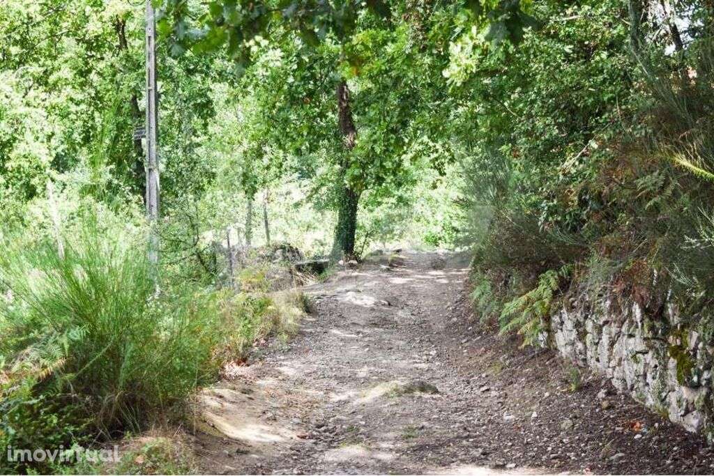 Terreno 3.420m2 com celeiro de 48m2 - Grande imagem: 4/12