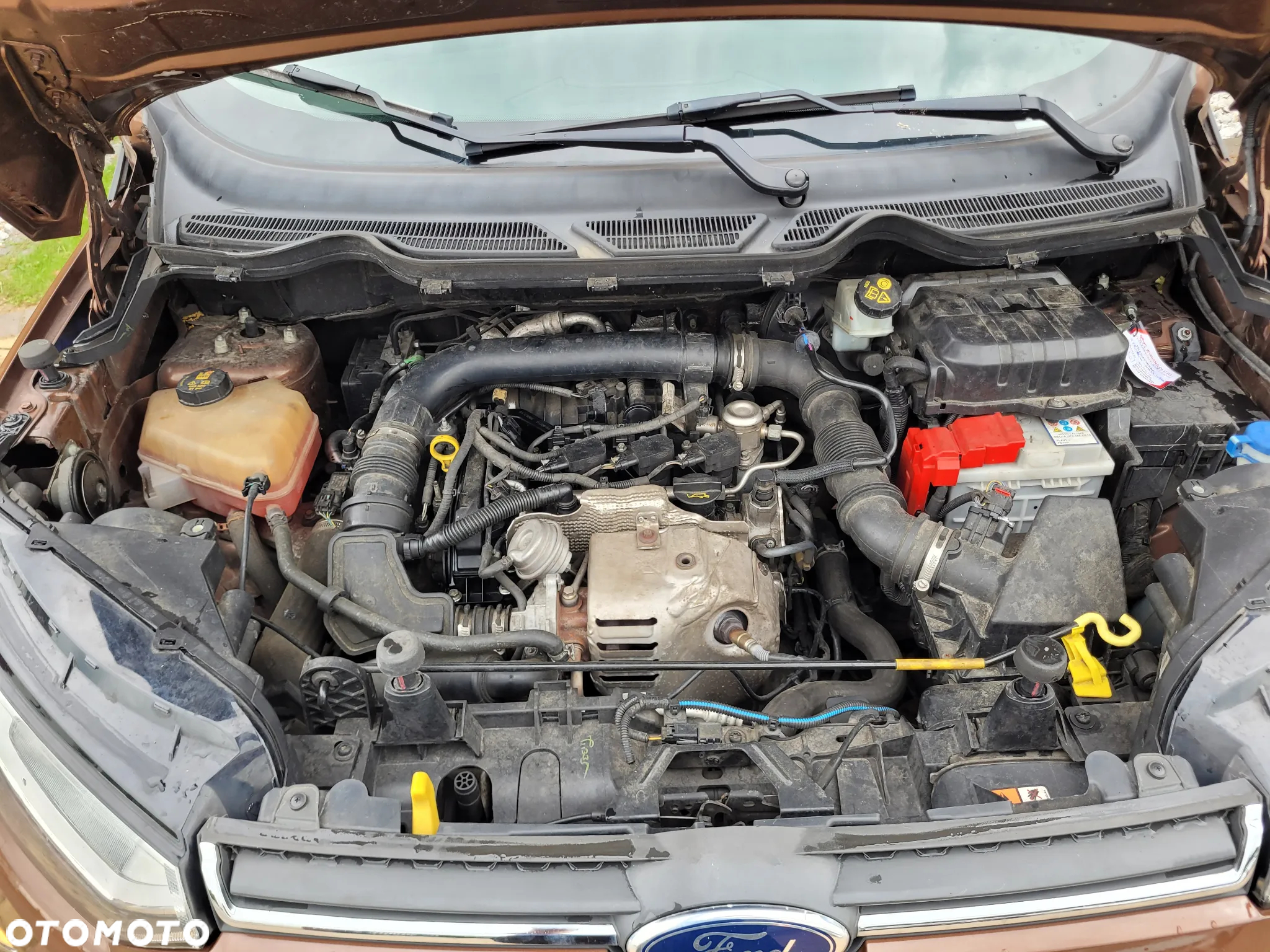 Ford EcoSport - 22