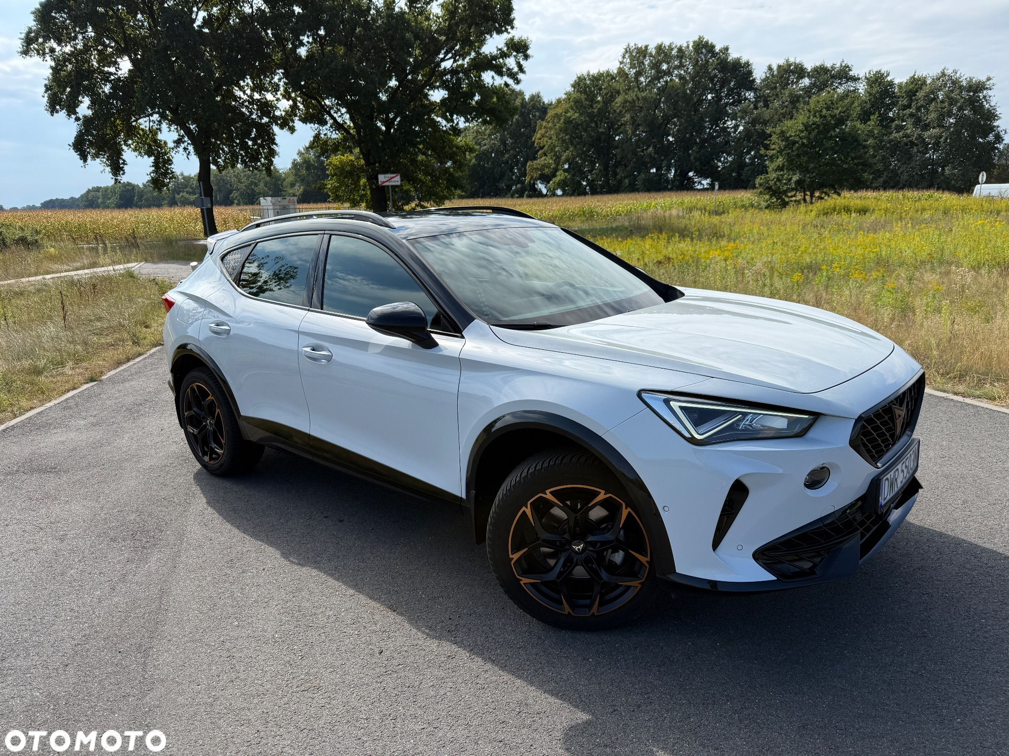 Cupra Formentor 1.5 TSI DSG - 3