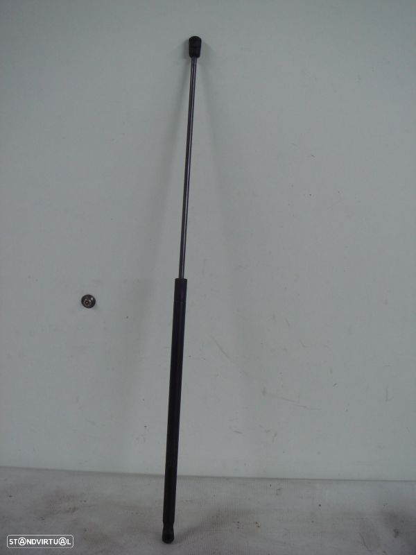 Amortecedor Capot Volvo S40 Ii (544) - 1