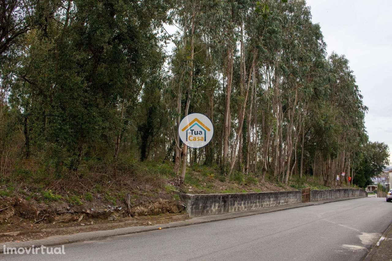Terreno para Construção – 4000m2 em Lourosa - Grande imagem: 4/14