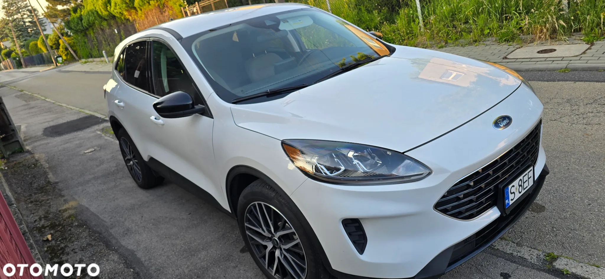 Ford Kuga 2.5 FHEV AWD Titanium - 5
