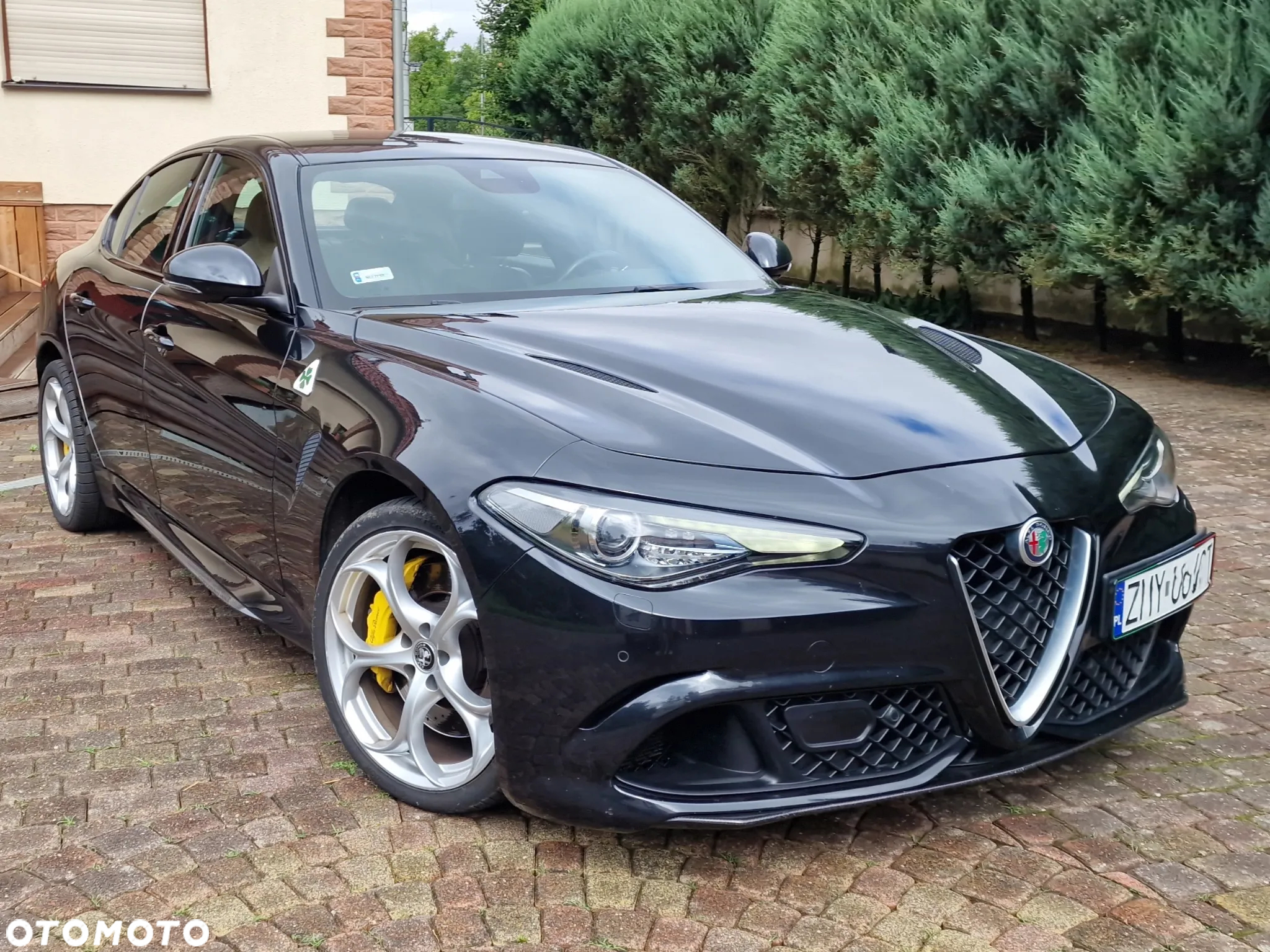 Alfa Romeo Giulia 2.9 V6 Bi-Turbo AT8 Quadrifoglio - 7