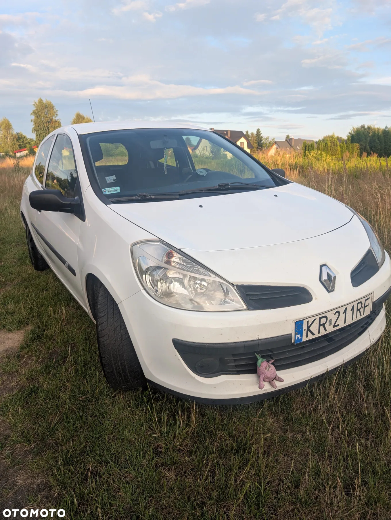 Renault Clio - 8