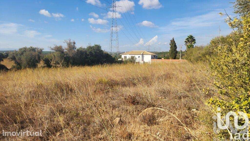 Terreno Agrícola em Algoz e Tunes - Grande imagem: 2/17
