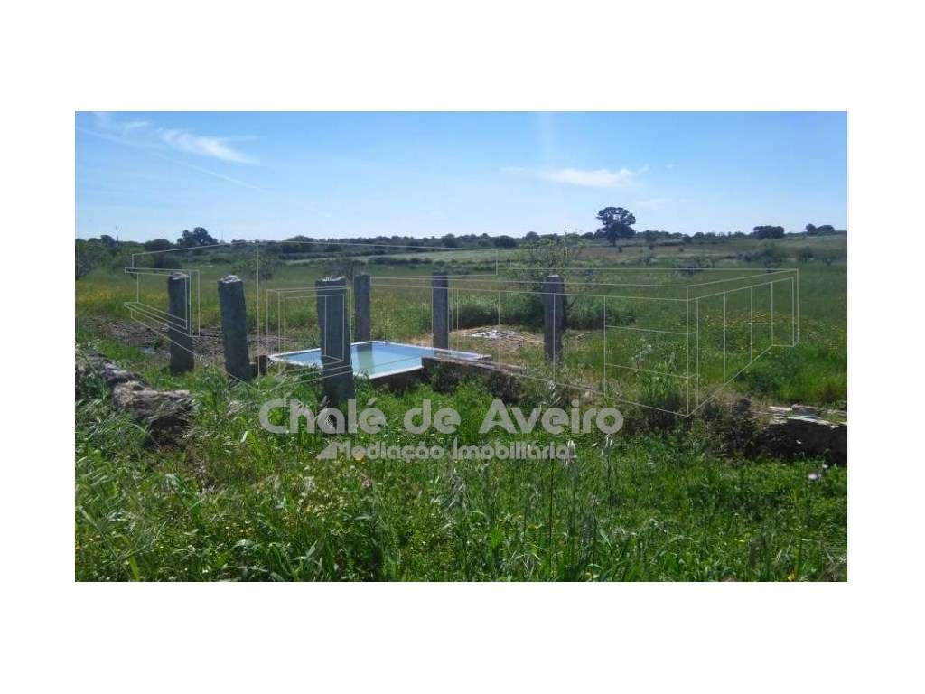 Herdade em Portalegre Com 200 Oliveiras (Nisa) - Grande imagem: 4/15