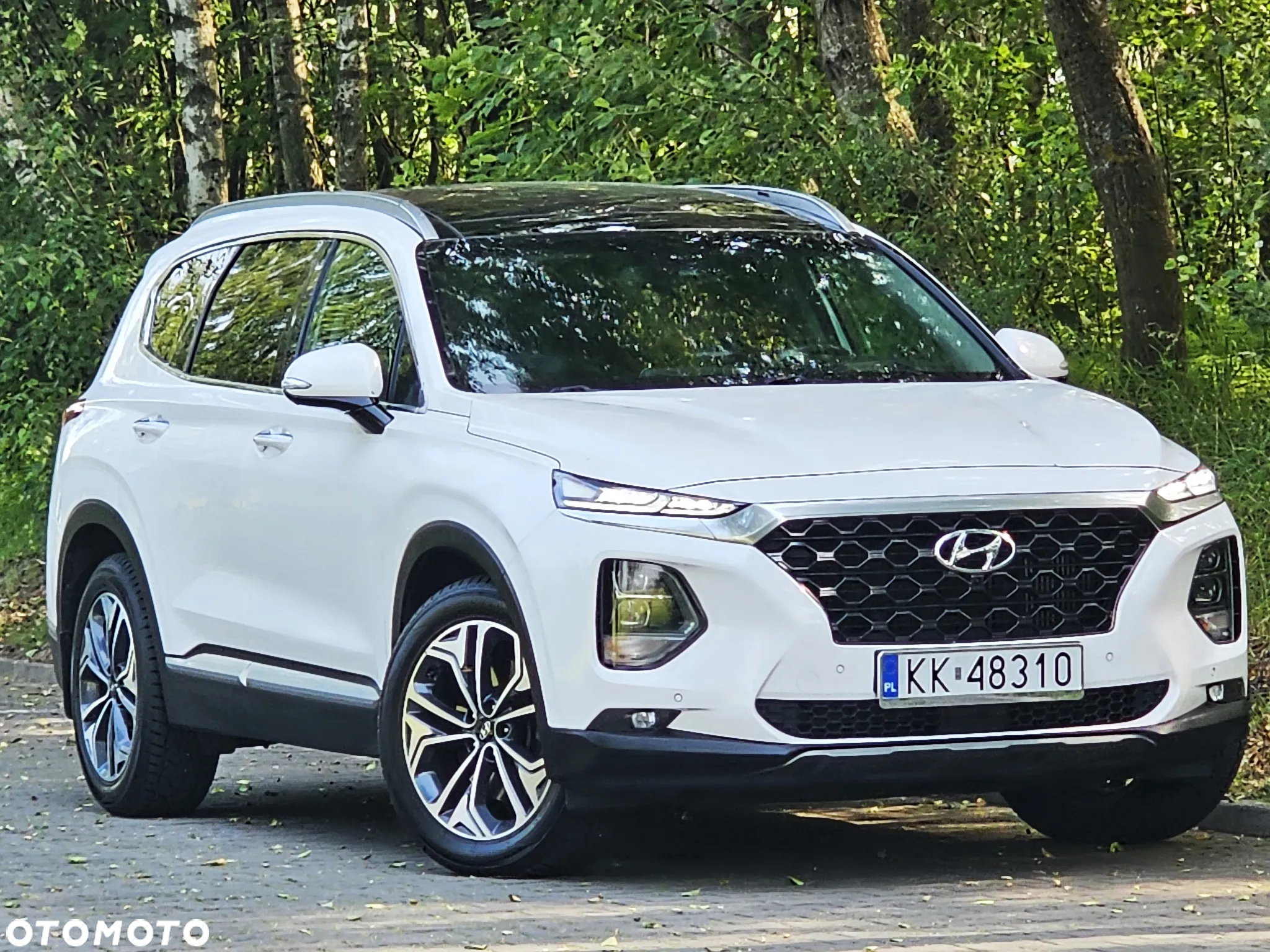 Hyundai Santa Fe 2.0 CRDi Platinum 4WD 7os - 9