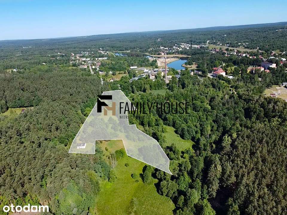Urokliwe siedlisko 2,63ha z zabudowaniami, Bliżyn - Pełny obrazek: 4/17