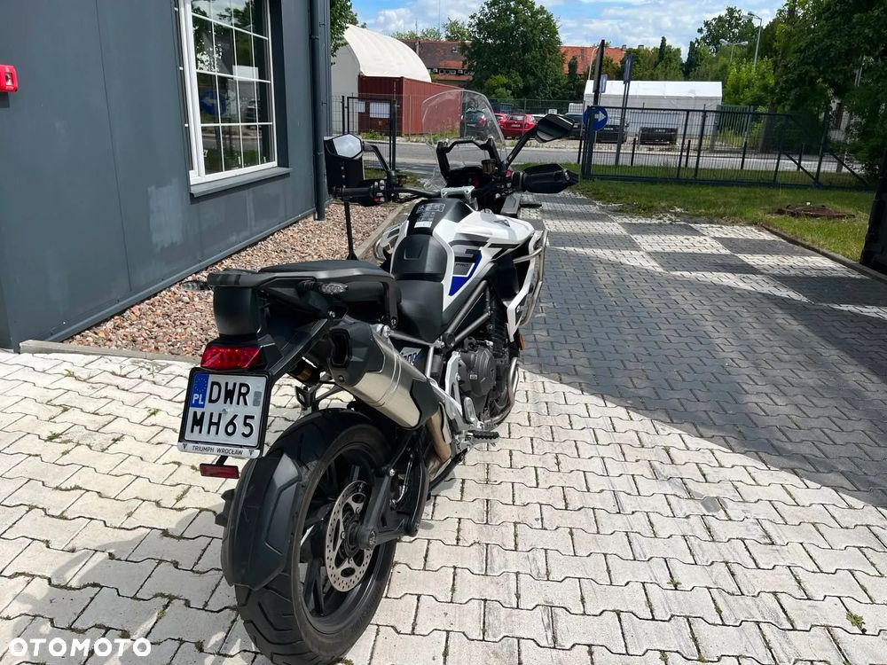Triumph Tiger - 6