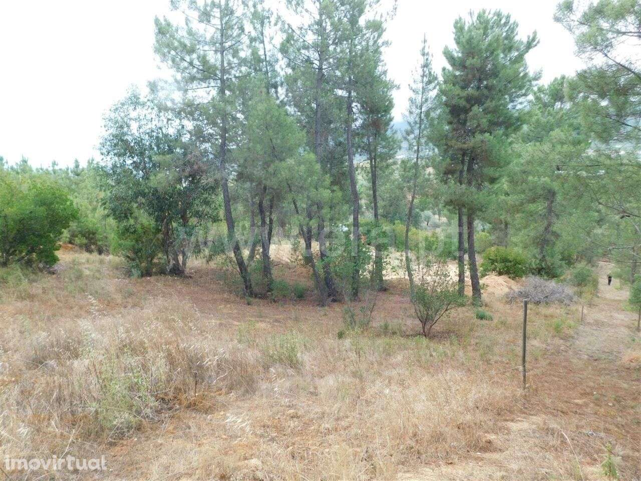 Terreno para Construção / Fundão, Aldeia Nova - Grande imagem: 3/12