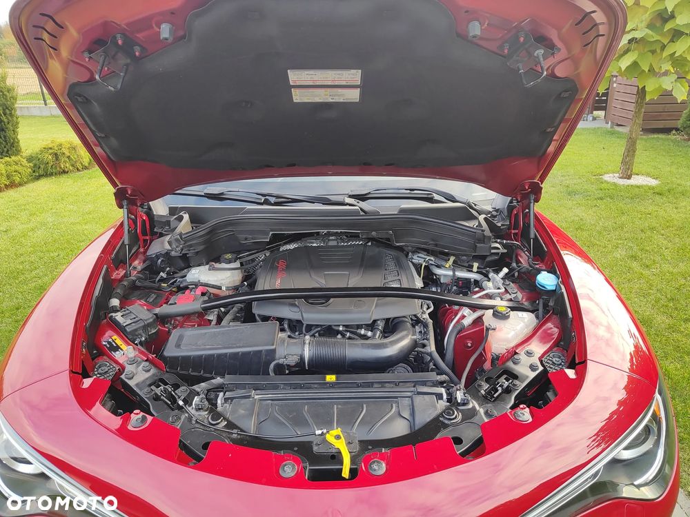 Alfa Romeo Stelvio 2.0 Turbo 16V AT8-Q4 Veloce Ti - 16