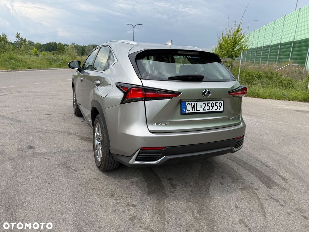 Lexus NX - 7