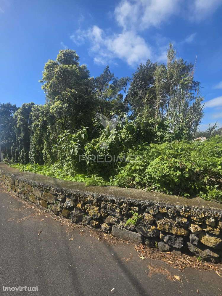 Terreno em S. Pedro - Grande imagem: 5/6