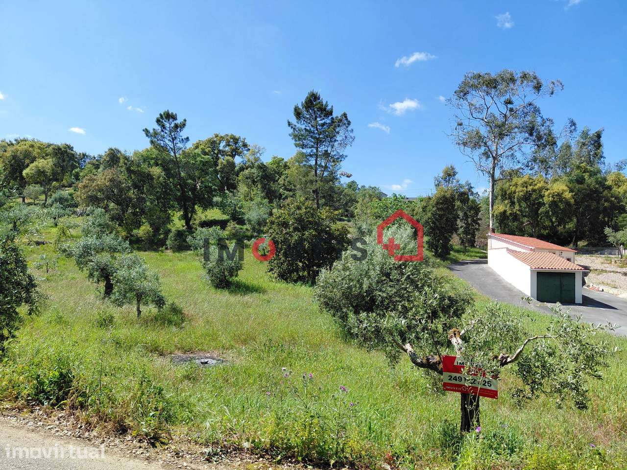 TERRENO CONSTRUÇÃO COM SETE MIL E SEISCENTOS METROS QUADRADOS - Grande imagem: 5/7