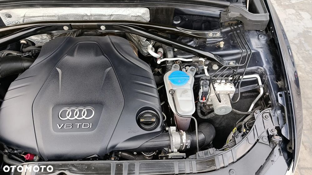 Audi Q5 - 21