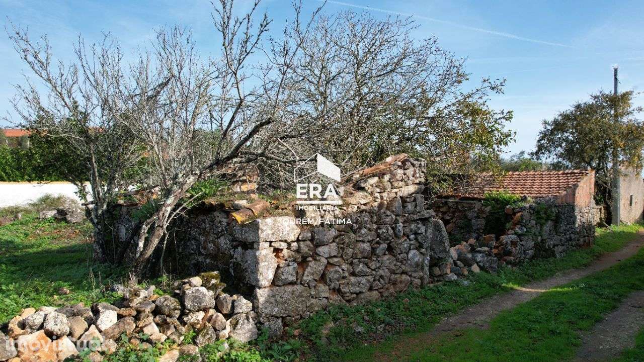 Terreno com Ruína perto de Tomar - Grande imagem: 5/25