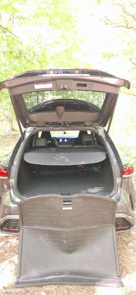 Lexus RX - 14