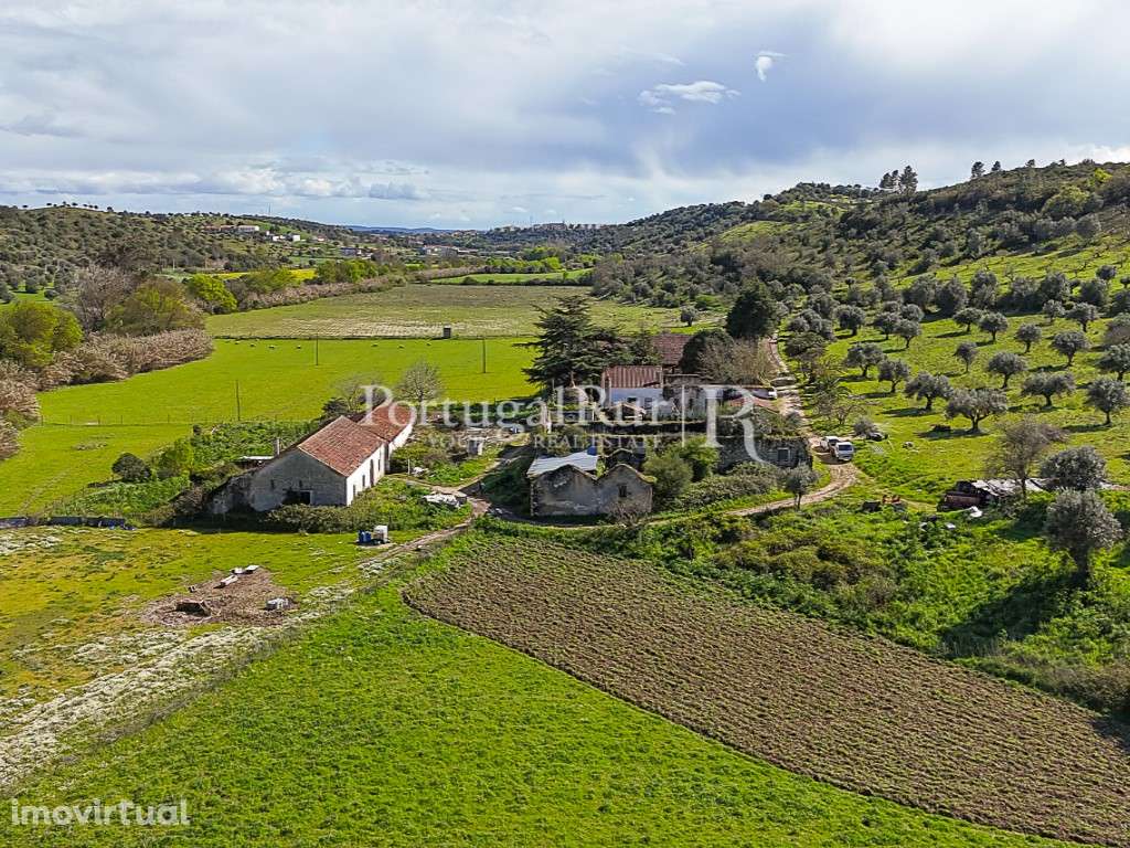 Quinta de 40 ha para Regadio com Casa Senhorial e Potencial Turístico - Grande imagem: 5/60