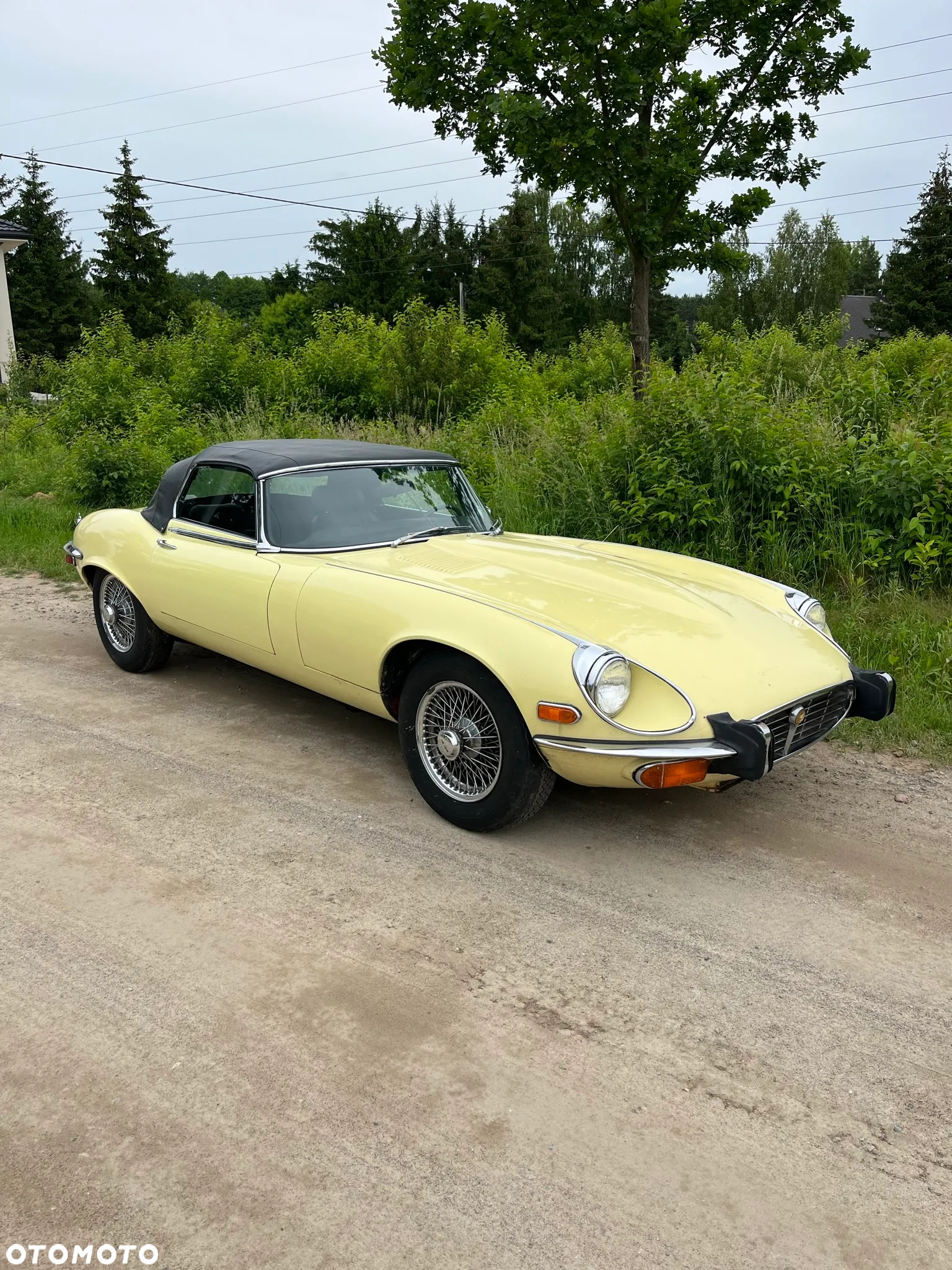 Jaguar E-Type - 30