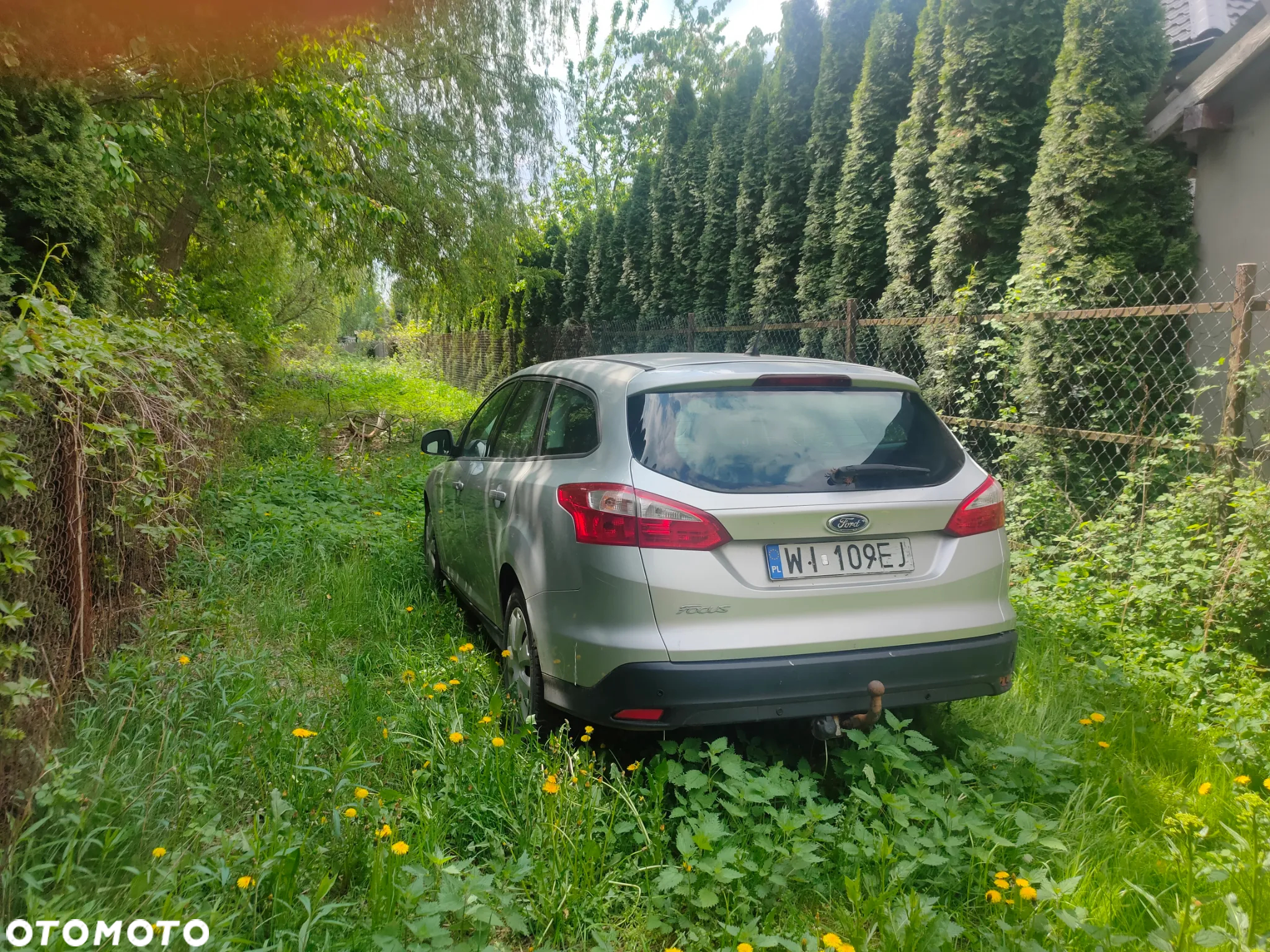 Ford Focus 1.6 TDCi Titanium - 2